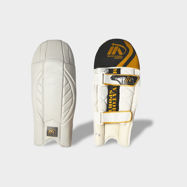 Cricket Kit Shadow 02
