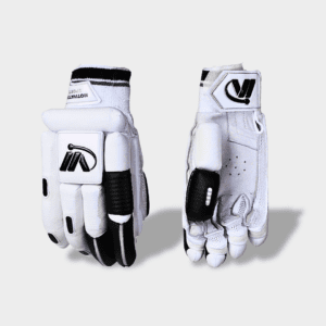 Cricket Kit Gloves