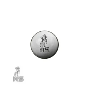 HS Core 5 Cricket Ball (White) - Image 1
