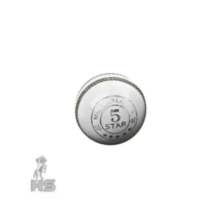 HS 5 Star Cricket Ball (White) - Image 2