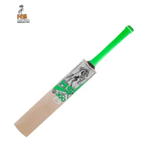 HS Spark 300 Cricket Bat - Image 1