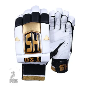 HS T20 Batting Gloves - Image 1