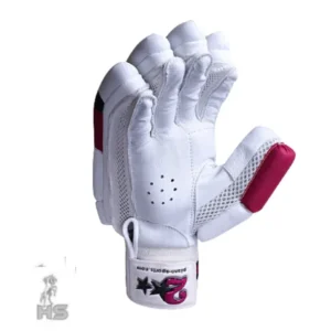HS 2 Star Batting Gloves - Image 4