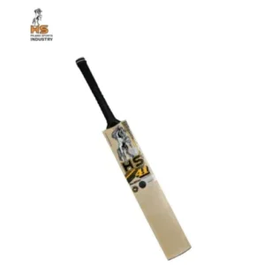 HS 41 Pro Edition Cricket Bat - Image 2
