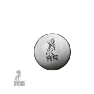 HS 5 Star Cricket Ball (White) - Image 1
