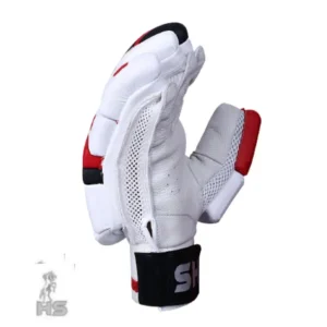 HS 5 Star Batting Gloves - Image 4