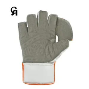 Ca Plus 20k Wicket keeping gloves - Image 3