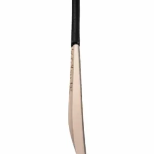 CA Pro Legend Cricket Bat - Image 4