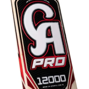 CA Pro 12000 Cricket Bat - Image 4