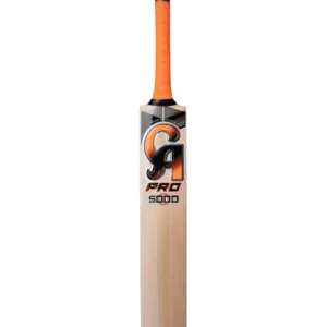 CA Pro 5000 Cricket Bat - Image 1