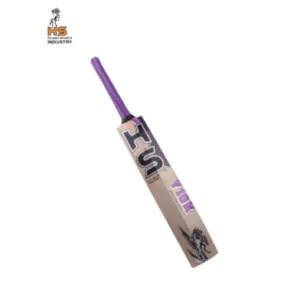 HS Y10K Cricket Bat - Image 3
