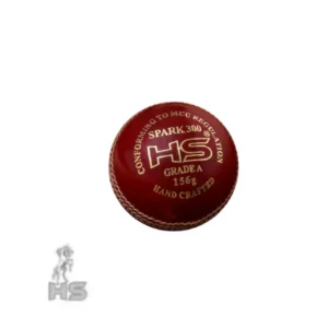 HS Spark 300 Cricket Ball (Red) - Image 1