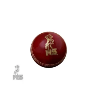 HS Spark 200 Cricket Ball - Image 1