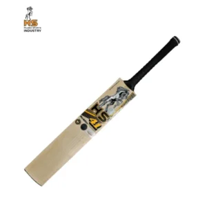 HS 41 Pro Edition Cricket Bat - Image 1